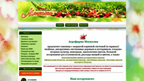 What Magnolia45.ru website looked like in 2021 (2 years ago)