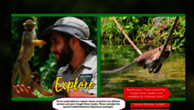 What Monkeyjungle.com website looked like in 2021 (2 years ago)