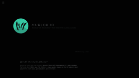 What Murlok.io website looked like in 2021 (2 years ago)