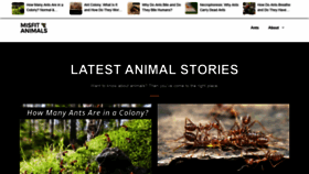 What Misfitanimals.com website looked like in 2021 (2 years ago)