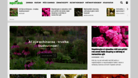 What Magazinzahrada.cz website looked like in 2021 (2 years ago)