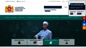 What Mes.gov.ge website looked like in 2021 (2 years ago)