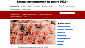 What Malina-vip.ru website looked like in 2021 (2 years ago)