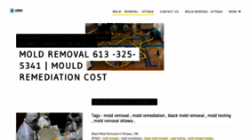 What Moldremovalinottawa.ca website looked like in 2021 (2 years ago)
