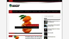 What Manzap.com website looked like in 2021 (2 years ago)