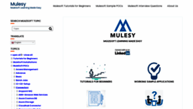 What Mulesy.com website looked like in 2021 (2 years ago)