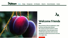 What Mshoham.com website looked like in 2021 (2 years ago)
