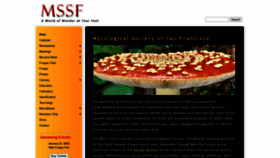 What Mssf.org website looked like in 2021 (2 years ago)