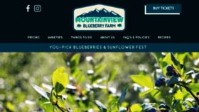 What Mountainviewblueberryfarm.com website looked like in 2022 (2 years ago)