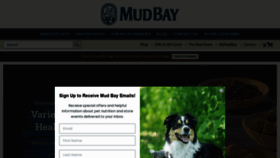 What Mudbay.com website looked like in 2022 (2 years ago)