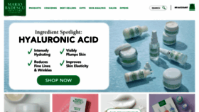 What Mariobadescu.com website looked like in 2022 (2 years ago)
