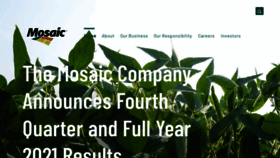 What Mosaicco.com website looked like in 2022 (2 years ago)