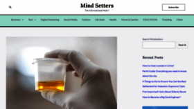 What Mindsetterz.com website looked like in 2022 (3 years ago)