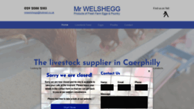 What Mrwelshegg.com website looked like in 2022 (1 year ago)