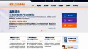 What Msfunds.com.cn website looked like in 2022 (1 year ago)