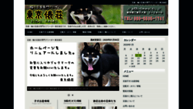 What Mameshiba.in website looked like in 2022 (1 year ago)