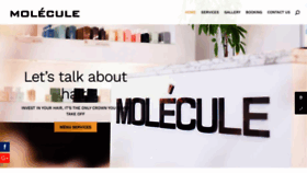 What Moleculesalon.com website looked like in 2022 (1 year ago)