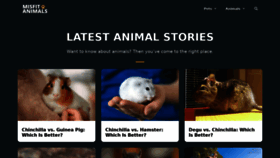 What Misfitanimals.com website looked like in 2022 (1 year ago)