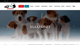 What Maxfund.org website looked like in 2022 (1 year ago)