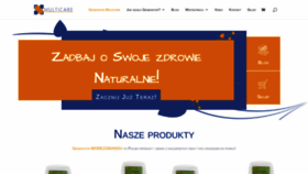 What Multicare.pl website looked like in 2022 (1 year ago)