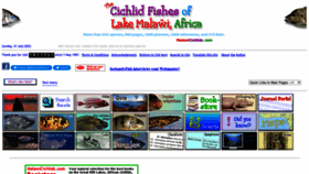 What Malawicichlids.com website looked like in 2022 (1 year ago)