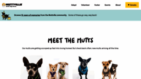 What Muttville.org website looked like in 2022 (1 year ago)