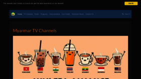 What Myanmartvchannels.com website looked like in 2022 (1 year ago)