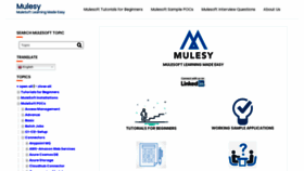What Mulesy.com website looked like in 2022 (1 year ago)