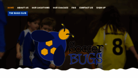 What Mysoccerbugs.com website looked like in 2023 (1 year ago)
