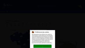 What Meteobelgique.be website looked like in 2023 (2 years ago)