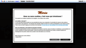 What Morinfrance.com website looked like in 2023 (1 year ago)