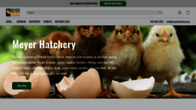 What Meyerhatchery.com website looked like in 2023 (1 year ago)