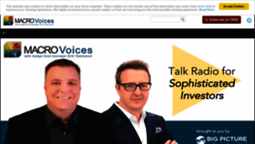 What Macrovoices.com website looked like in 2023 (1 year ago)