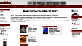 What Molecularlab.it website looked like in 2023 (1 year ago)