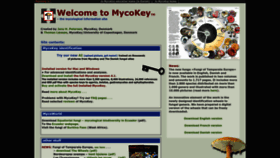 What Mycokey.com website looked like in 2023 (1 year ago)