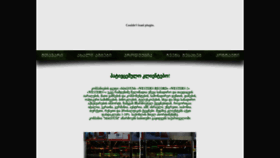 What Magnum.ge website looked like in 2023 (This year)