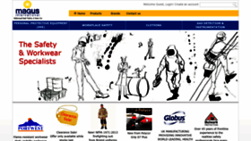 What Magusintl.com website looked like in 2023 (This year)