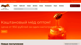 What Medok.ru website looked like in 2023 (This year)