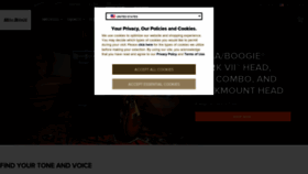 What Mesaboogie.com website looked like in 2023 (This year)