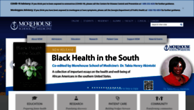 What Msm.edu website looked like in 2023 (This year)