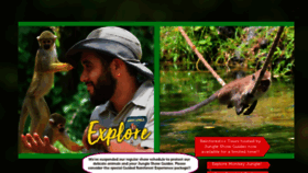 What Monkeyjungle.com website looked like in 2023 (This year)