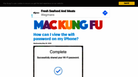 What Mackungfu.org website looked like in 2023 (This year)