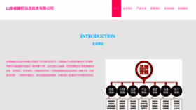 What Mingsouwang.com website looked like in 2023 (This year)