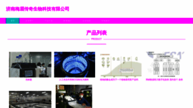 What Meimeichuanqi.com website looked like in 2023 (This year)