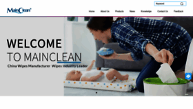 What Maincleanwipes.com website looked like in 2023 (This year)