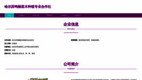 What Mingchangmiaomu.com website looked like in 2023 (This year)