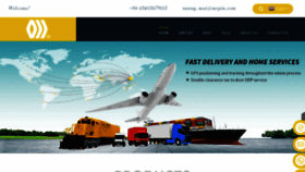 What Mrpinlogistics.com website looked like in 2023 (This year)