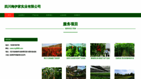 What Myj8888.com website looked like in 2023 (This year)