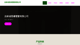 What Mingrui0431.com website looked like in 2023 (This year)