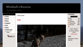 What Minibullzkosova.cz website looked like in 2023 (This year)